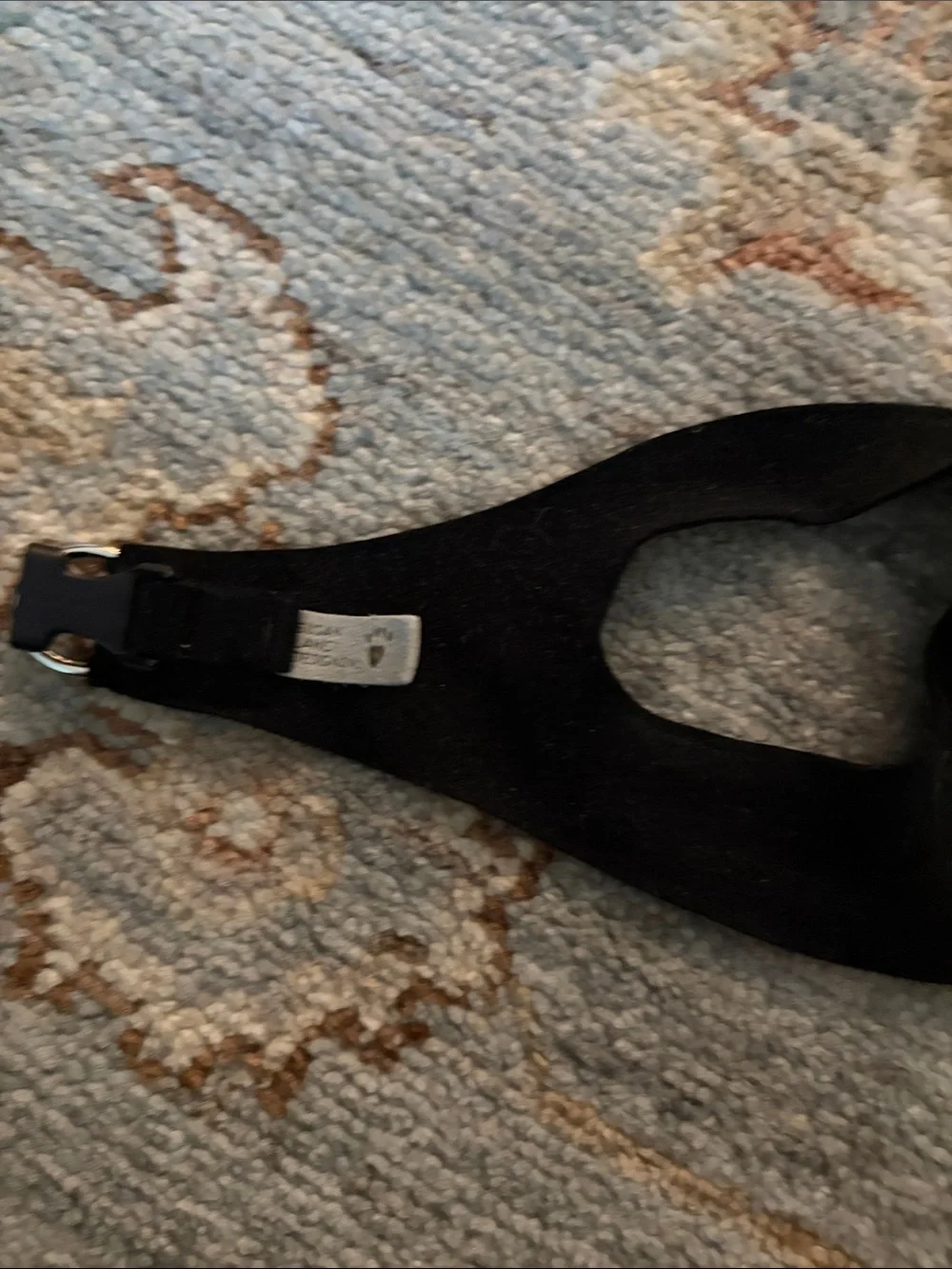 Susan lanci step in harness